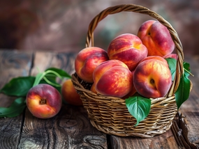 一篮子新鲜有机油桃摄影图片